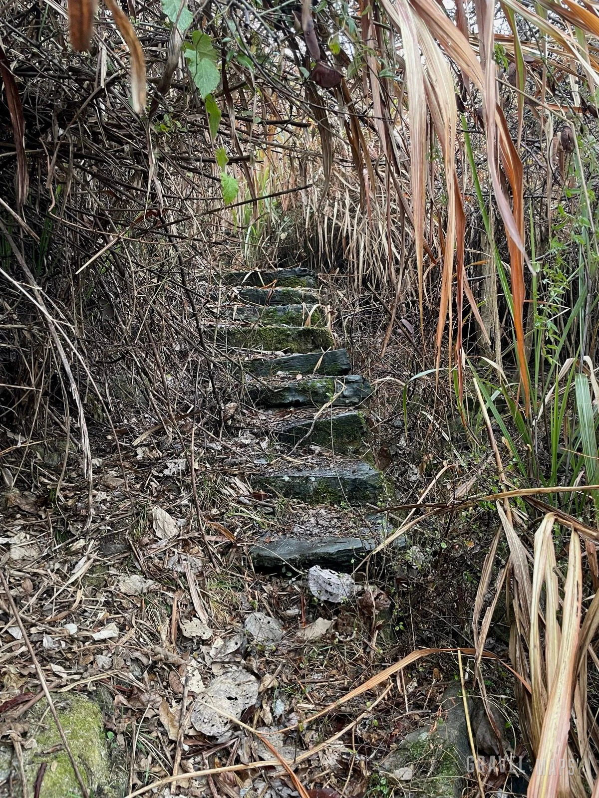 五尖山 瓦窑坪gravel 骑行记录 3