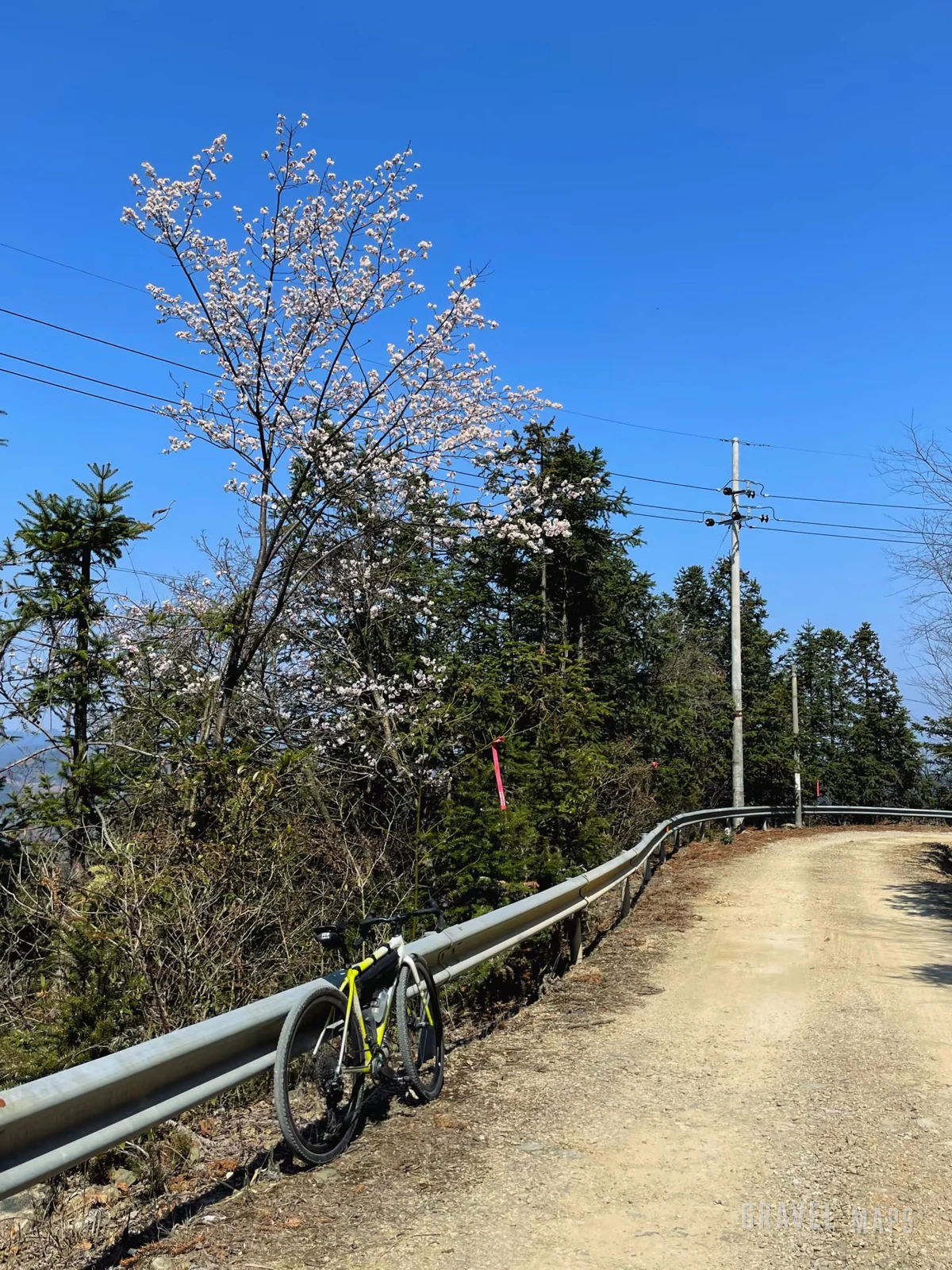 宁海岔路gravel 骑行风景