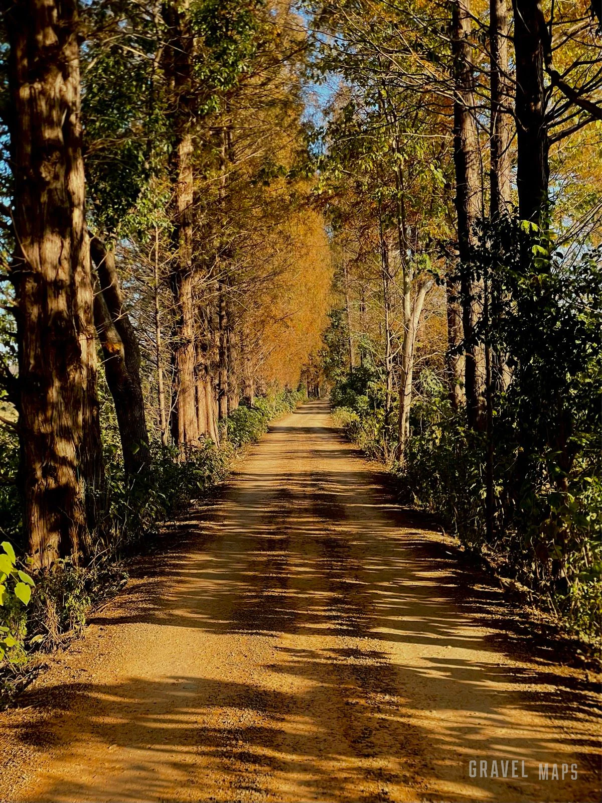 五丰岛gravel 骑行风景