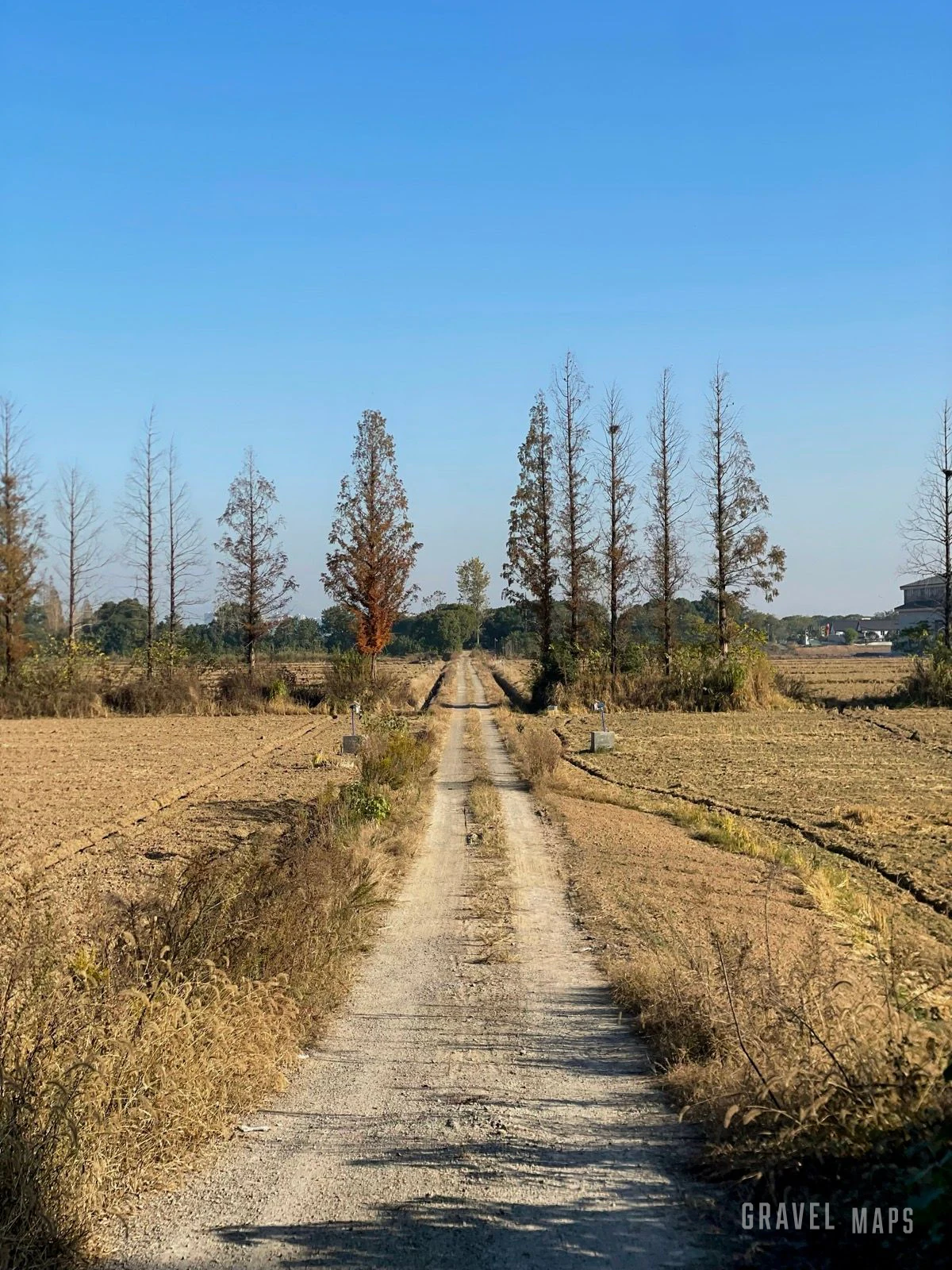 五丰岛gravel 骑行记录 2